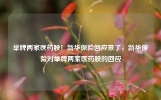 举牌两家医药股！新华保险回应来了，新华保险对举牌两家医药股的回应