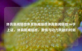 体育新闻随感体育新闻随感体育新闻随感300字上证，体育新闻随感，激情与动力共融的时刻，体育新闻随感，激情与动力交织的瞬间