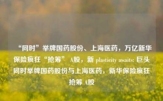 “同时”举牌国药股份、上海医药，万亿新华保险疯狂“抢筹” A股，新 plasticity awaits: 巨头同时举牌国药股份与上海医药，新华保险疯狂抢筹 A股