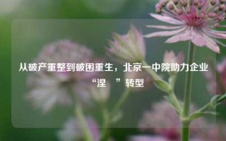 从破产重整到破困重生，北京一中院助力企业“涅槃”转型