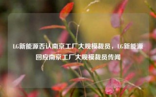 LG新能源否认南京工厂大规模裁员，LG新能源回应南京工厂大规模裁员传闻