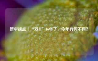 新华视点｜“双11”16年了，今年有何不同？