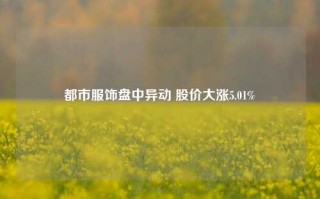 都市服饰盘中异动 股价大涨5.01%