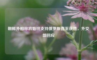 朝鲜外相称将始终支持俄罗斯直至获胜，外交部回应