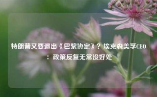 特朗普又要退出《巴黎协定》？埃克森美孚CEO：政策反复无常没好处