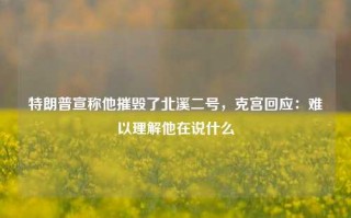 特朗普宣称他摧毁了北溪二号，克宫回应：难以理解他在说什么