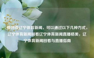 要回看辽宁体育新闻，可以通过以下几种方式，辽宁体育新闻回看辽宁体育新闻直播格美，辽宁体育新闻回看与直播指南，辽宁体育新闻回看及直播指南，多种观看方式​​。