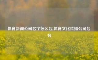 体育新闻公司名字怎么起,体育文化传播公司起名