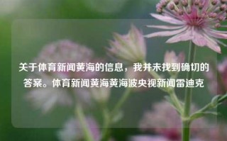 关于体育新闻黄海的信息，我并未找到确切的答案。体育新闻黄海黄海波央视新闻雷迪克