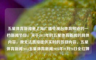 五星体育新闻是上海广播电视台体育频道的一档新闻节目，关于2013年的五星体育新闻的具体内容，我无法直接提供实时的节目内容。五星体育新闻2013五星体育新闻2023年11月28日全红婵