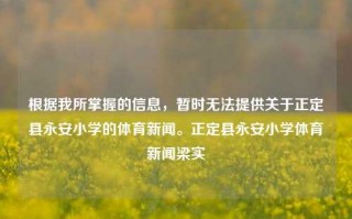 根据我所掌握的信息，暂时无法提供关于正定县永安小学的体育新闻。正定县永安小学体育新闻梁实