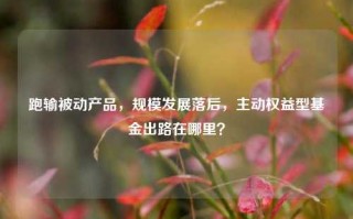 跑输被动产品，规模发展落后，主动权益型基金出路在哪里？