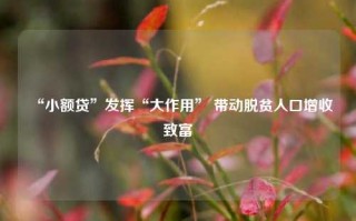 “小额贷”发挥“大作用” 带动脱贫人口增收致富