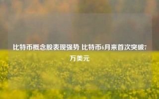 比特币概念股表现强势 比特币6月来首次突破7万美元