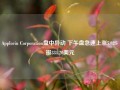 Applovin Corporation盘中异动 下午盘急速上涨5.02%报334.20美元