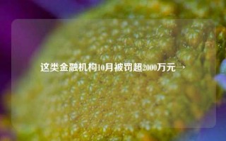 这类金融机构10月被罚超2000万元→