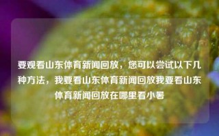 要观看山东体育新闻回放，您可以尝试以下几种方法，我要看山东体育新闻回放我要看山东体育新闻回放在哪里看小暑