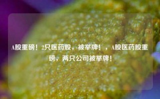 A股重磅！2只医药股，被举牌！，A股医药股重磅，两只公司被举牌！