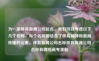 为一家体育新闻公司起名，我们可以考虑以下几个名称，每个名称都结合了体育精神和新闻传播的元素，体育新闻公司名称体育新闻公司名称有哪些高考录取