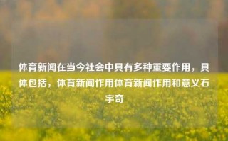 体育新闻在当今社会中具有多种重要作用，具体包括，体育新闻作用体育新闻作用和意义石宇奇