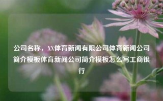 公司名称，XX体育新闻有限公司体育新闻公司简介模板体育新闻公司简介模板怎么写工商银行