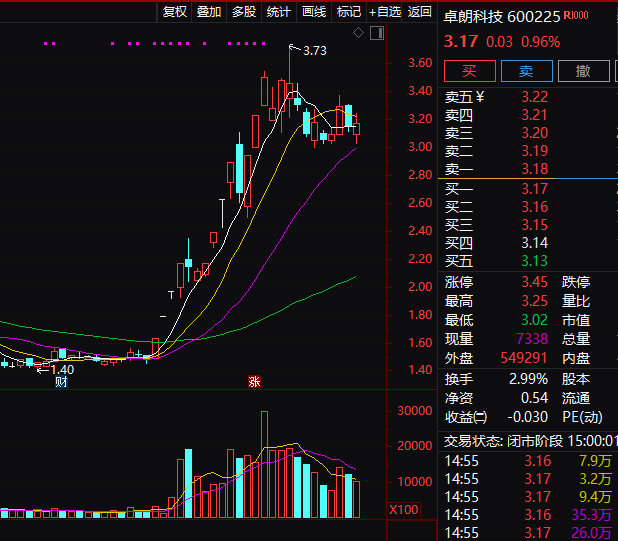 连续5年造假！这只A股，面临强制退市！-第3张图片-体育新闻