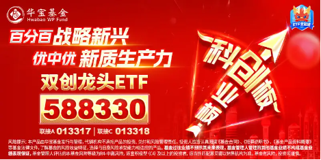 半导体领衔，创业板+科创板联袂狂飙，成长“战斗基”——双创龙头ETF（588330）盘中涨超2%-第3张图片-体育新闻