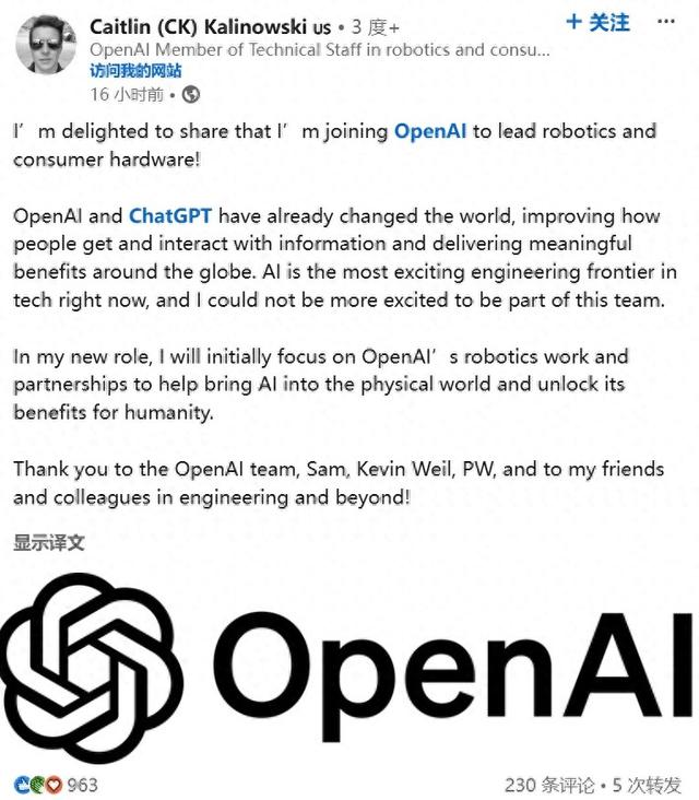 OpenAI变“硬”了！招揽Meta AR眼镜负责人领导机器人业务-第1张图片-体育新闻