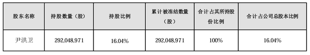 大股东持股遭八次轮候冻结，岭南股份流动性危机何解-第1张图片-体育新闻