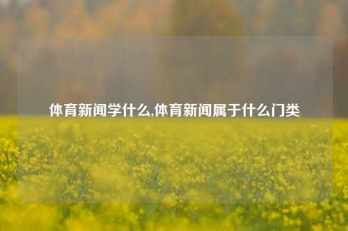 体育新闻学什么,体育新闻属于什么门类-第1张图片-体育新闻