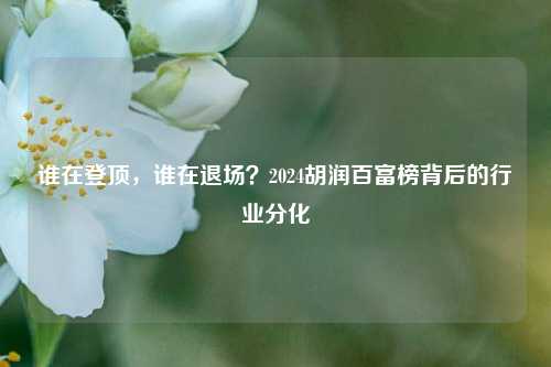 谁在登顶，谁在退场？2024胡润百富榜背后的行业分化-第1张图片-体育新闻