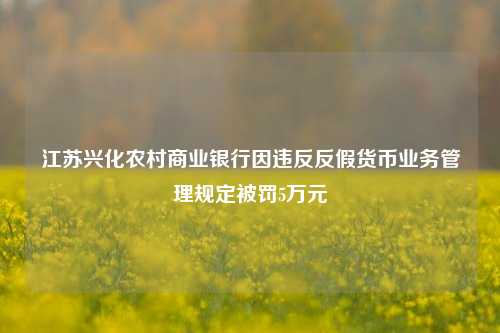 江苏兴化农村商业银行因违反反假货币业务管理规定被罚5万元-第1张图片-体育新闻