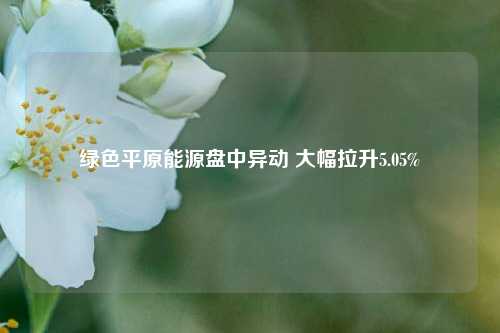 绿色平原能源盘中异动 大幅拉升5.05%-第1张图片-体育新闻