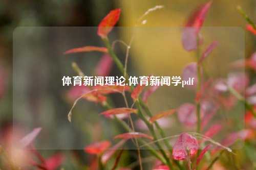 体育新闻理论,体育新闻学pdf-第1张图片-体育新闻