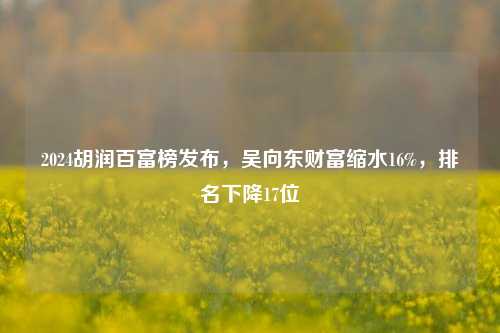 2024胡润百富榜发布，吴向东财富缩水16%，排名下降17位-第1张图片-体育新闻