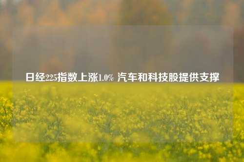 日经225指数上涨1.0% 汽车和科技股提供支撑-第1张图片-体育新闻