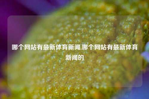 哪个网站有最新体育新闻,哪个网站有最新体育新闻的-第1张图片-体育新闻