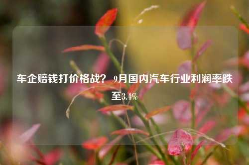 车企赔钱打价格战？ 9月国内汽车行业利润率跌至3.4%-第1张图片-体育新闻