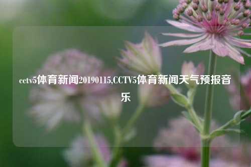 cctv5体育新闻20190115,CCTV5体育新闻天气预报音乐-第1张图片-体育新闻