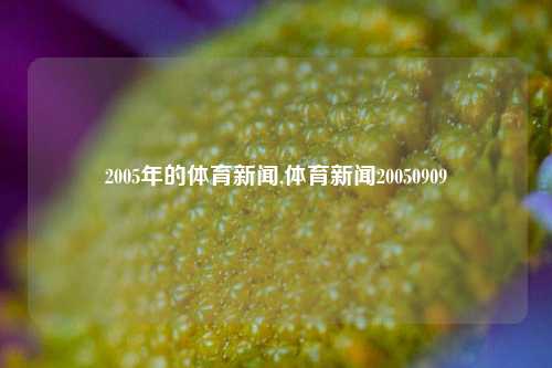 2005年的体育新闻,体育新闻20050909-第1张图片-体育新闻