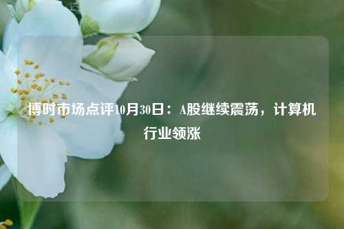 博时市场点评10月30日：A股继续震荡，计算机行业领涨-第1张图片-体育新闻