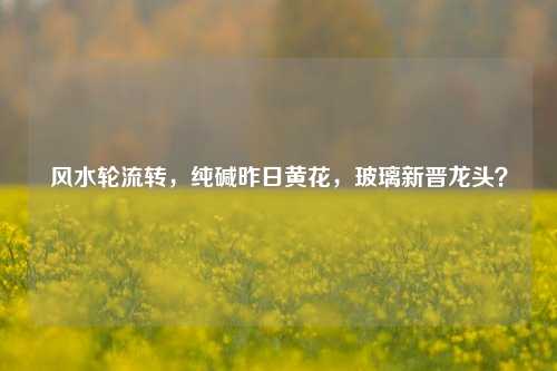 风水轮流转，纯碱昨日黄花，玻璃新晋龙头？-第1张图片-体育新闻