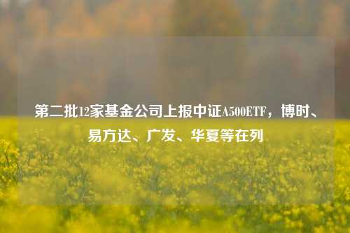 第二批12家基金公司上报中证A500ETF，博时、易方达、广发、华夏等在列-第1张图片-体育新闻