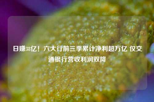 日赚38亿！六大行前三季累计净利超万亿 仅交通银行营收利润双降-第1张图片-体育新闻