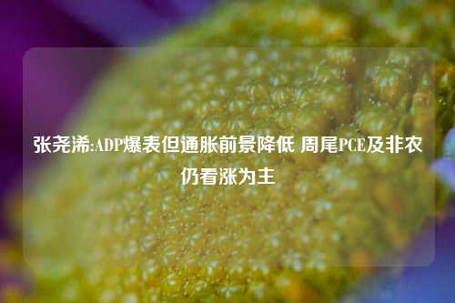 张尧浠:ADP爆表但通胀前景降低 周尾PCE及非农仍看涨为主-第1张图片-体育新闻