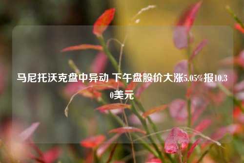 马尼托沃克盘中异动 下午盘股价大涨5.05%报10.30美元-第1张图片-体育新闻