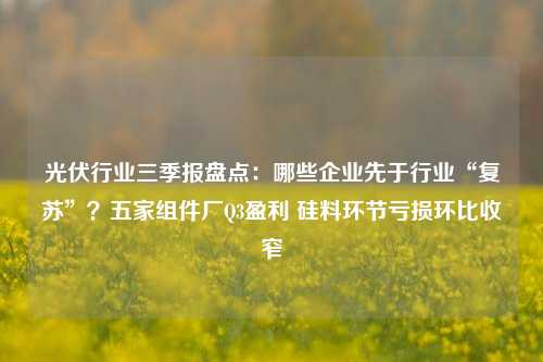 光伏行业三季报盘点：哪些企业先于行业“复苏”？五家组件厂Q3盈利 硅料环节亏损环比收窄-第1张图片-体育新闻