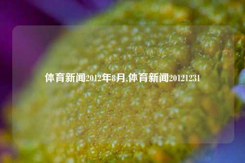 体育新闻2012年8月,体育新闻20121231-第1张图片-体育新闻