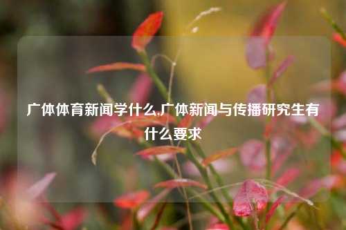 广体体育新闻学什么,广体新闻与传播研究生有什么要求-第1张图片-体育新闻