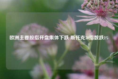 欧洲主要股指开盘集体下跌 斯托克50指数跌1%-第1张图片-体育新闻